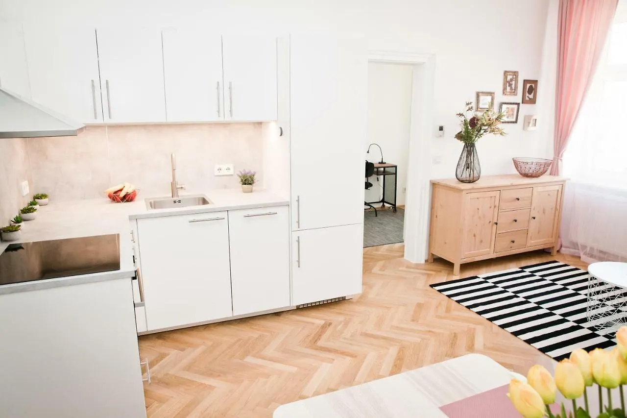 Twin Apartment Vienna 0*,